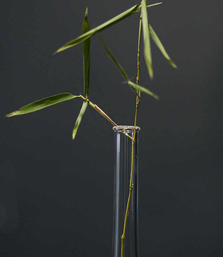 Japanese GY Transparent Glass Vase - www.zawearystocks.com