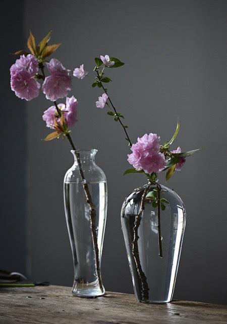 Japanese Handmade Hydroponic Plant Transparent Glass Vase - www.zawearystocks.com