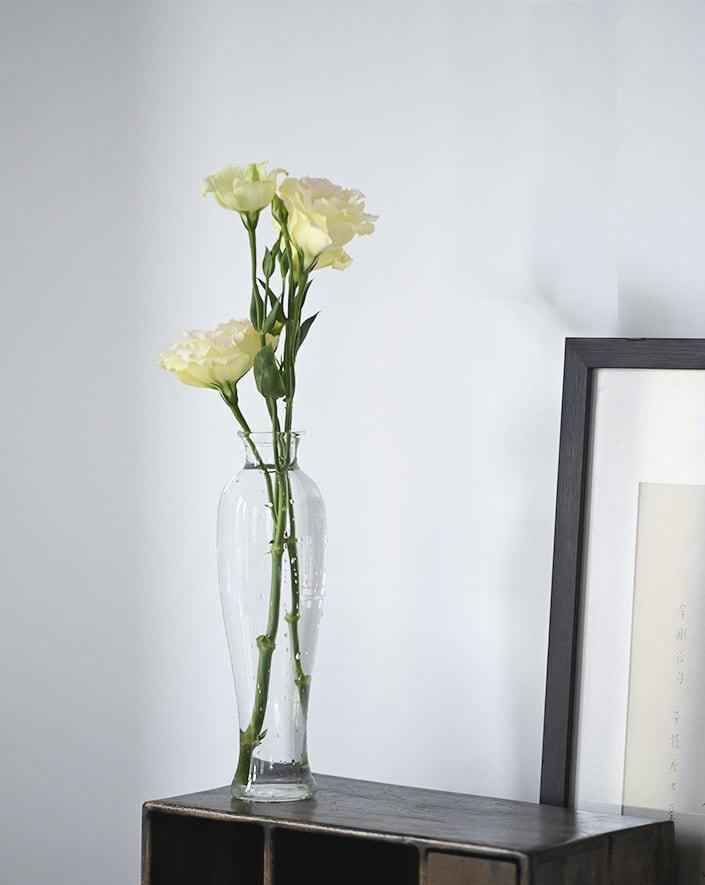 Japanese Handmade Hydroponic Plant Transparent Glass Vase - www.zawearystocks.com