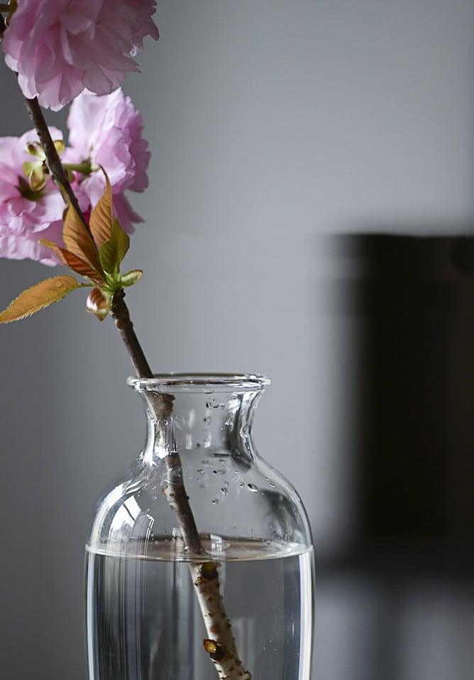 Japanese Handmade Hydroponic Plant Transparent Glass Vase - www.zawearystocks.com