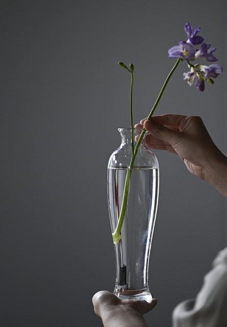 Japanese Handmade Hydroponic Plant Transparent Glass Vase - www.zawearystocks.com