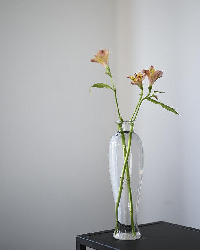 Japanese Handmade Hydroponic Plant Transparent Glass Vase - www.zawearystocks.com