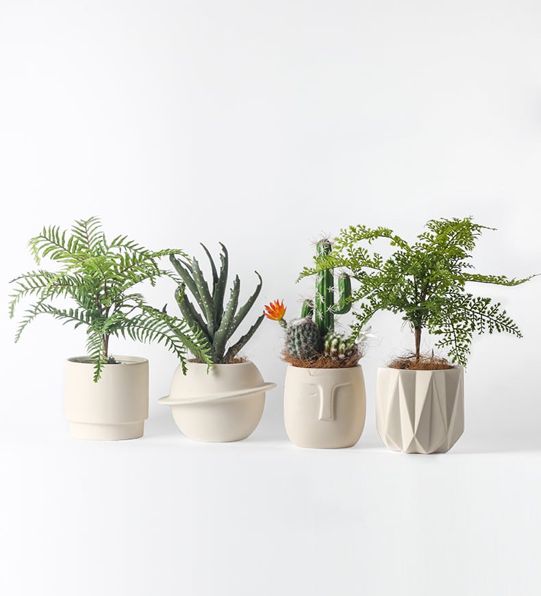 Pandora Set of 4 - Handmade Plant Pot In/Outdoor Beige